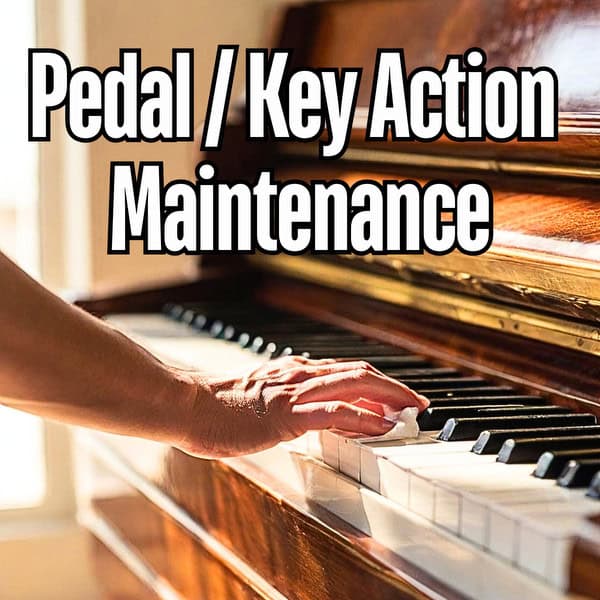 Pedal and Key Action Maintenance