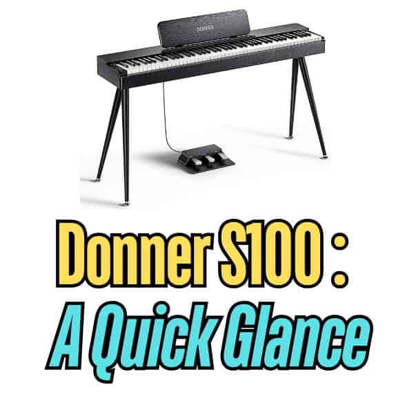 Taking a look at the Donner S100 specs